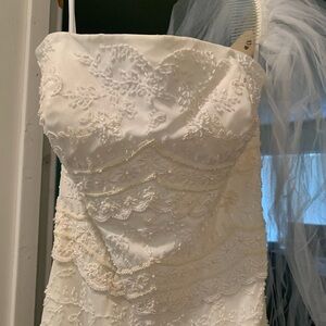 Never worn wedding dress and veil.